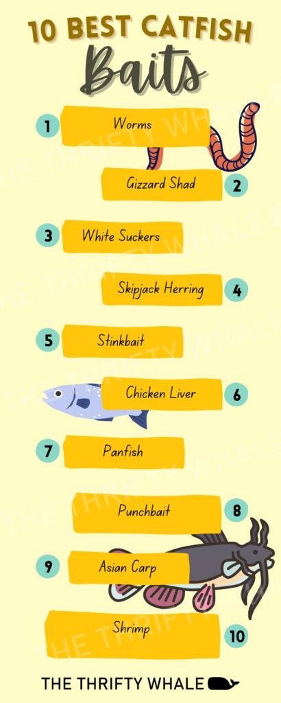 The 10 Best Catfish Baits Infographic