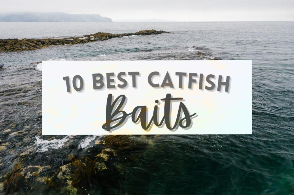 The 10 Best Catfish Baits Featured Image