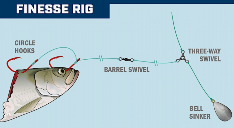 The Best Catfish Rig For Bank Fishing