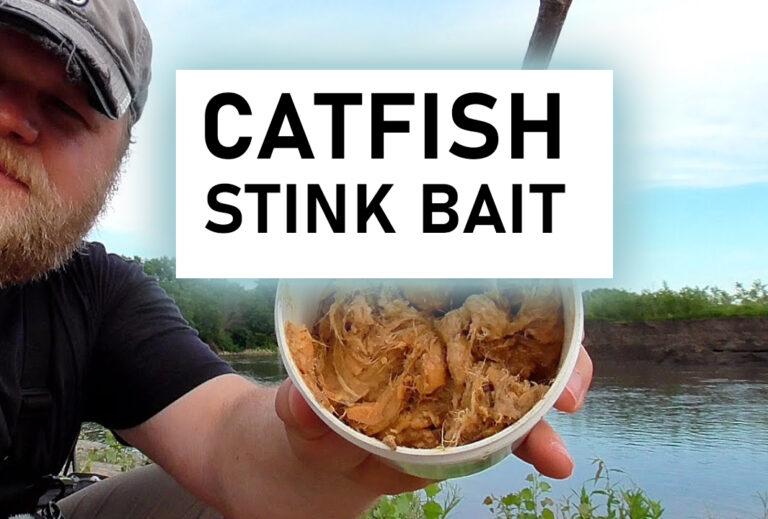 The #1 Stink Bait & Setups to Catch Catfish