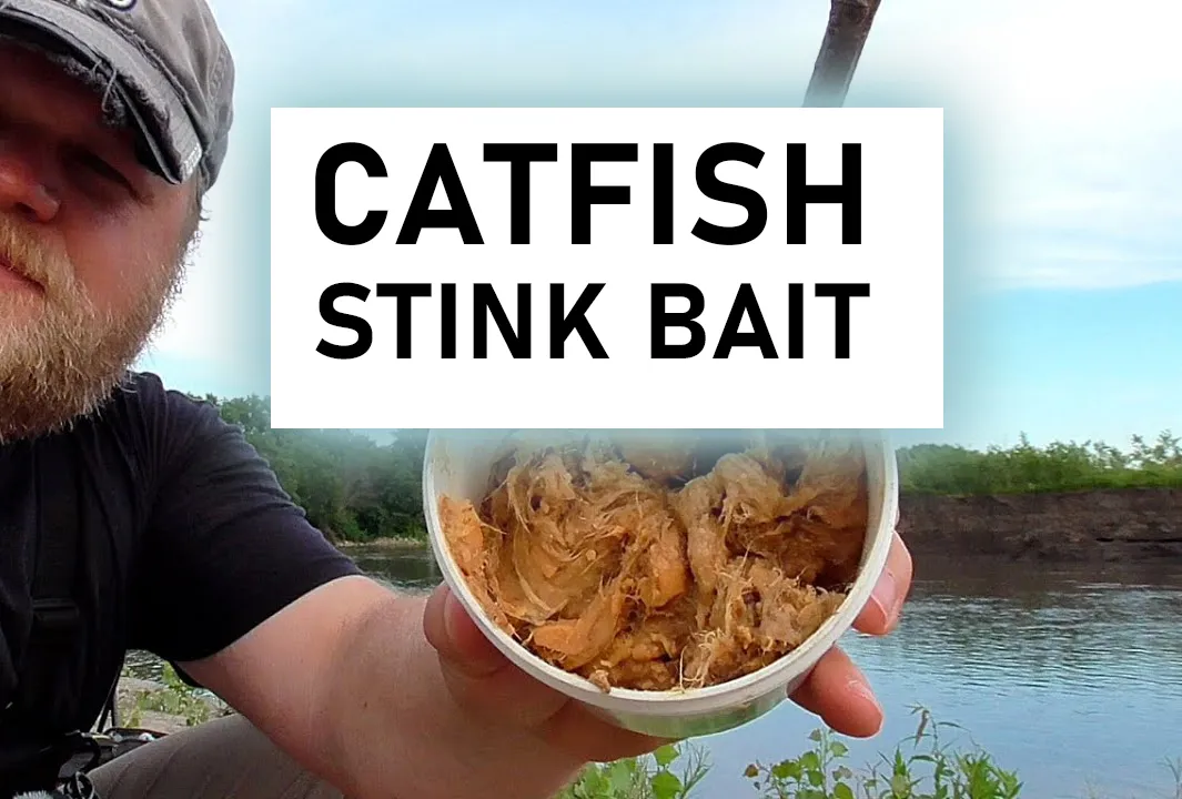 The 1 Stink Bait & Setups to Catch Catfish