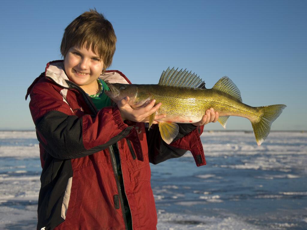 Saginaw bay walleye