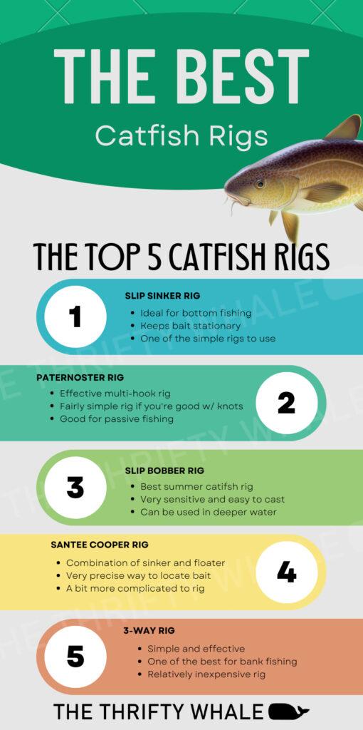 The 5 Best Catfish Rigs Infographic
