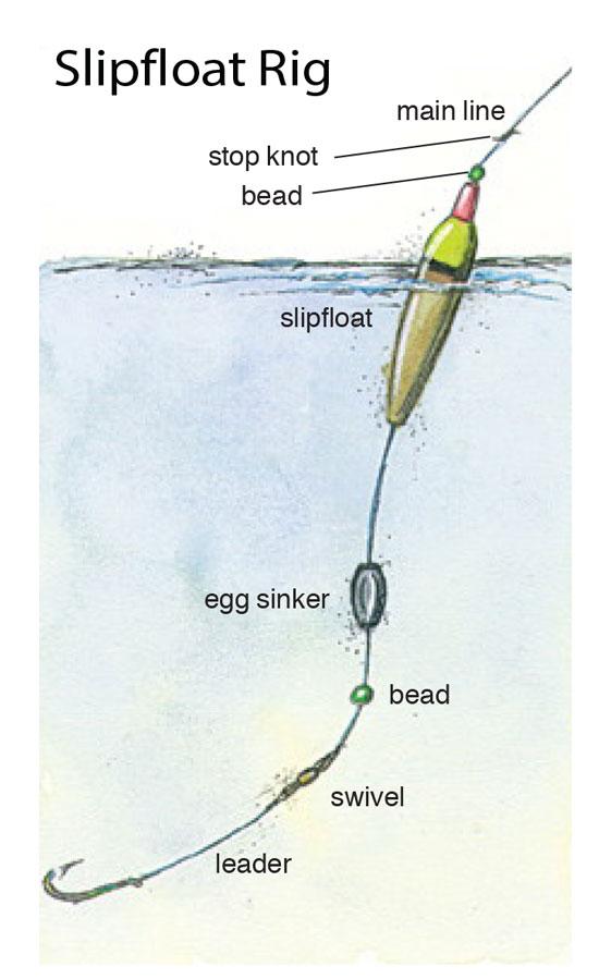 An angler favorite, the slipfoat rig is the best catfish rig for bank fishing who want to have visibility on their floater.