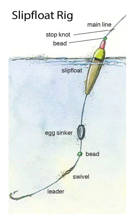 An angler favorite, the slipfoat rig is the best catfish rig for bank fishing who want to have visibility on their floater.