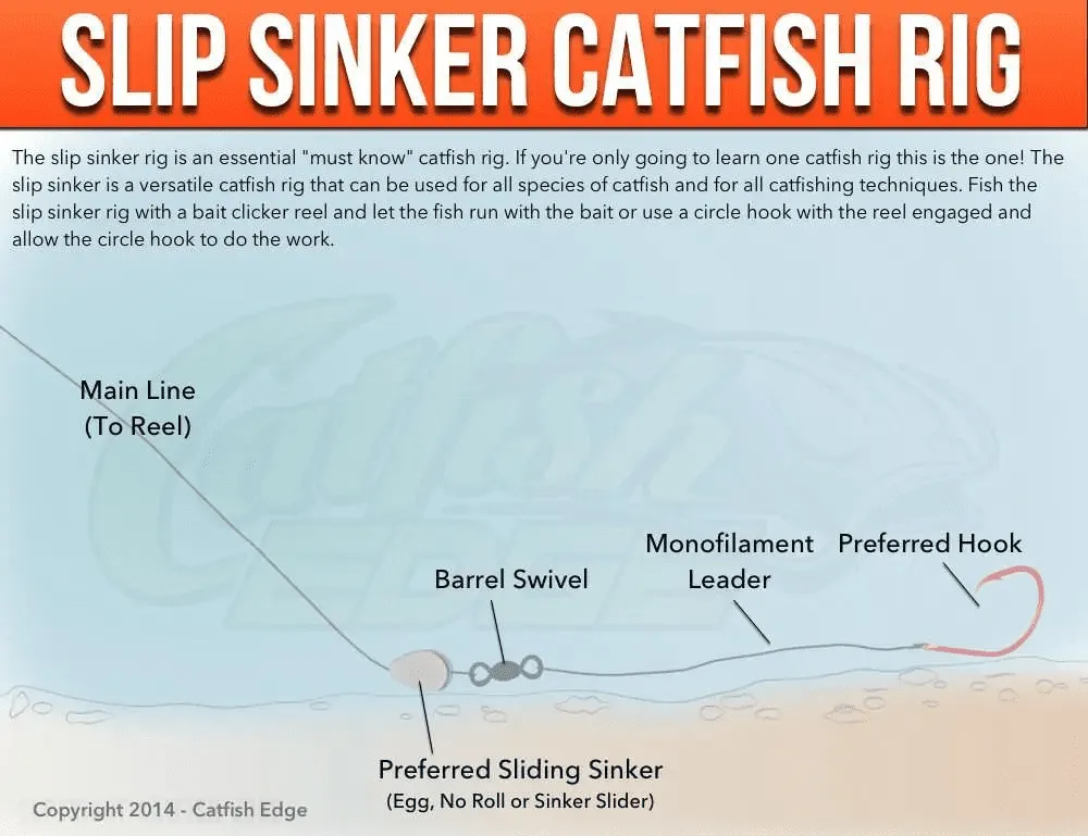 Slip Sinker Catfish Rig Diagram.