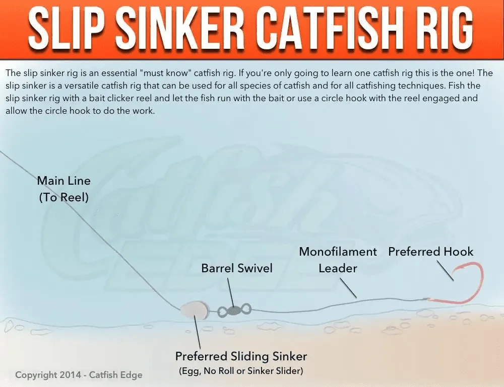 The Best Catfish Rig for Bank Fishing