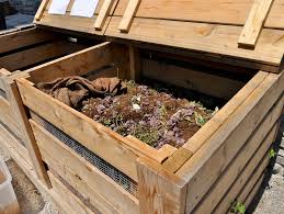 Wooden worm bins are used outside where larger colonies can be breed.