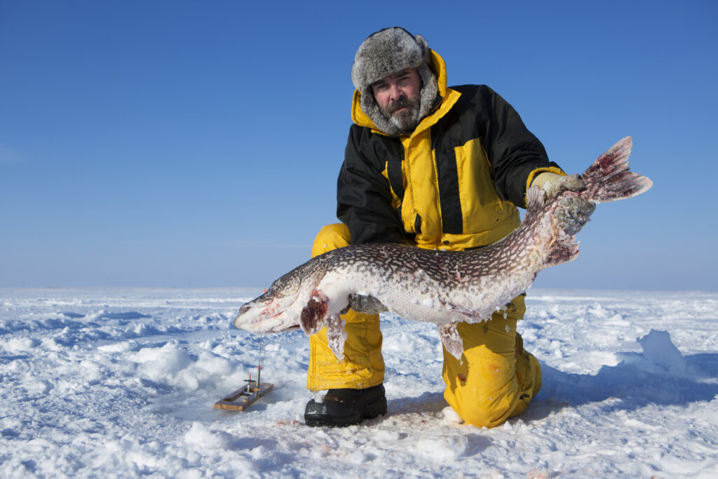 Ice fisherman holding a pike