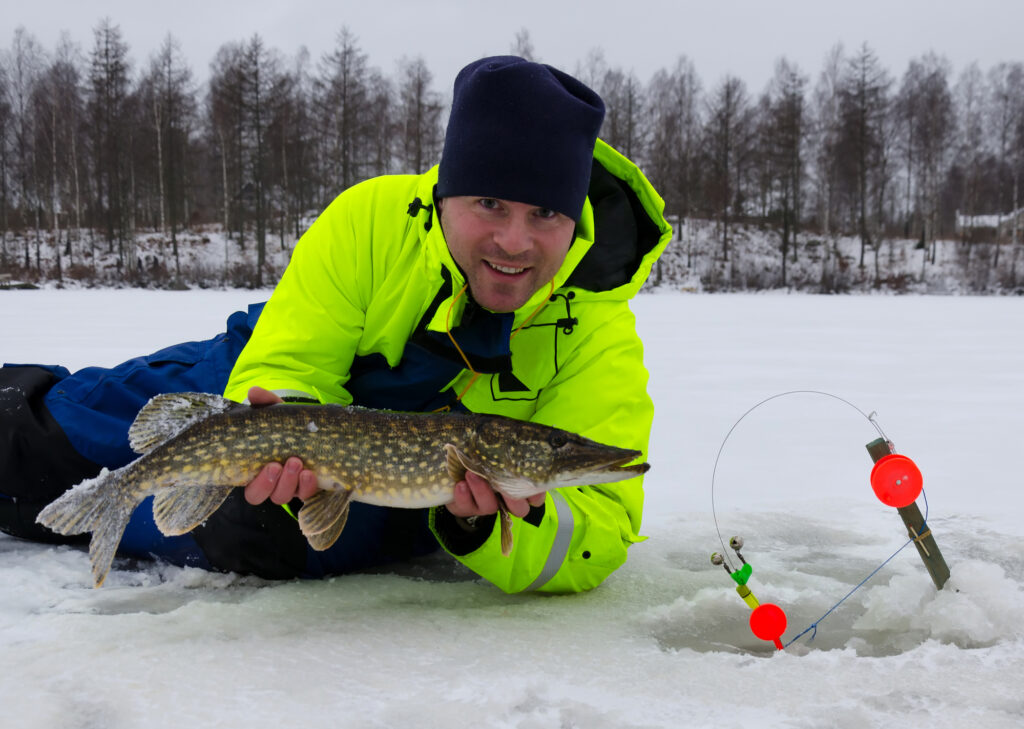 Ice fisherman holding a pike