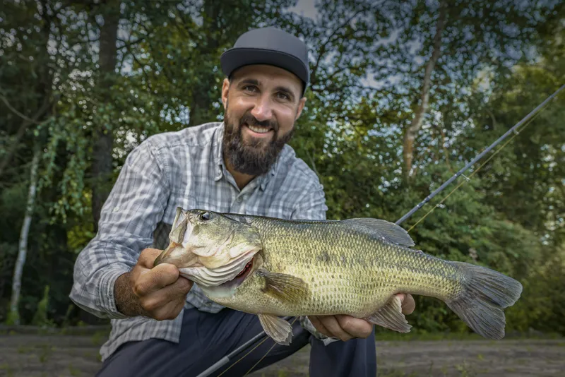 Big Bass Catch At Pond: Perfect For Freshwater Cuisine